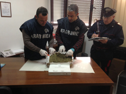 01-20-we-droga-bari