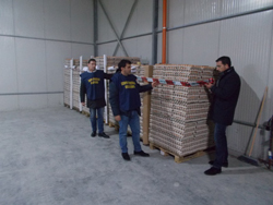 01-23-Sequestro-uova-Bat