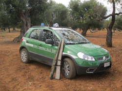 02-05-cfs-antibracconaggio