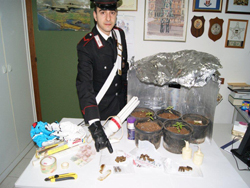 03-20-droga-santeramo
