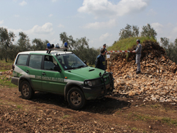 04-10-cfs-trulli-altamura