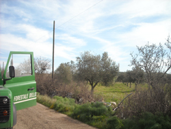05-14-cavi-altamura-cfs