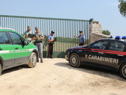 08-16-cfs-altamura