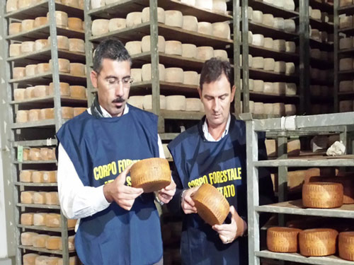 12-05-cfs-formaggio