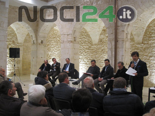12 12 platea allevatori