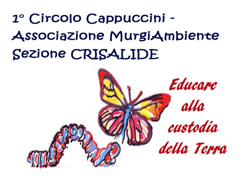 09-30-crisalide-front