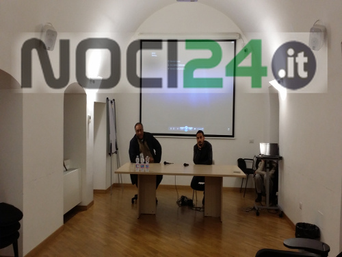 10-31nocipergaza