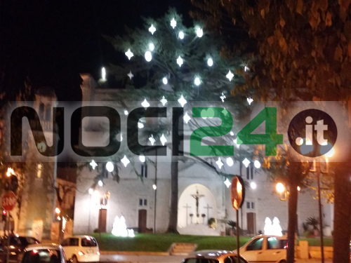 12 12alberosandomenico