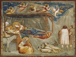 12 19 giotto natività