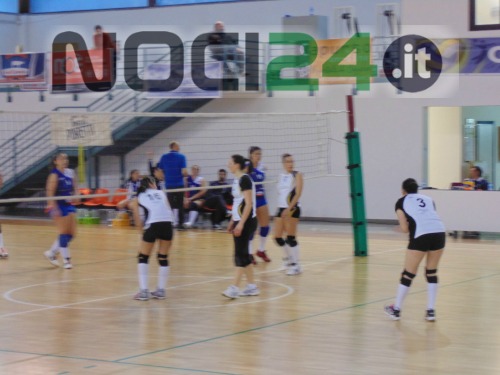 04-05 cuti-team volley