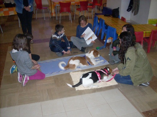 05-15 comunicato fantasia 2