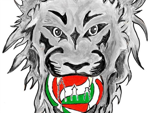 logo real volley noci