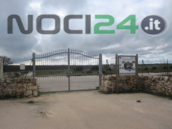 02-06-marrasca-ingresso