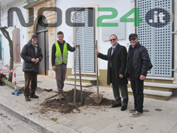 03-08-assessore-alberi