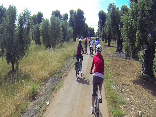 07-19-labbici-girainbici