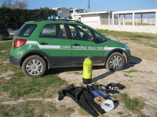 01 10 forestale sub monopol