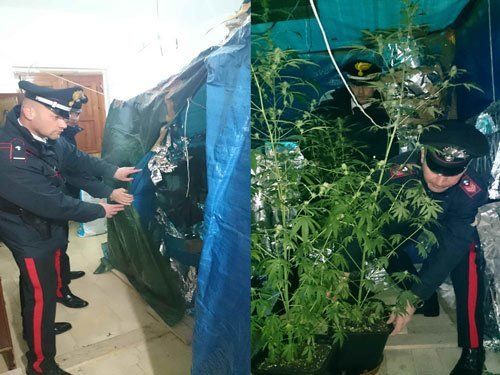 01 20 marijuana locorotondo