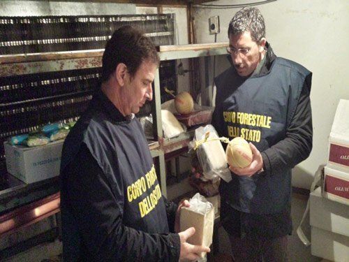 03 06 alimenti cfs