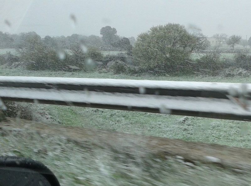 04 07 neve