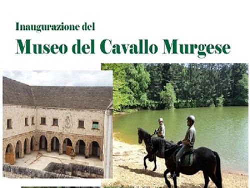 06 06 museo murgese