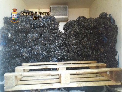 07 04 cozze gdf gioia