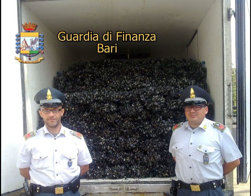 07 21 sequestro di cozze nere