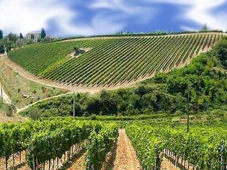 02 10 terreno agricolo