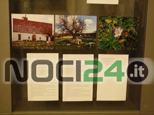 01 07zoomterranoci