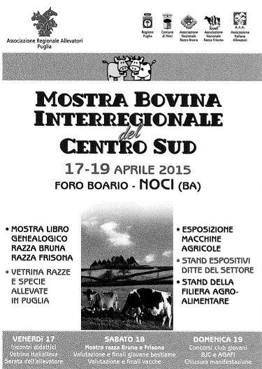 04 10mostrabovina