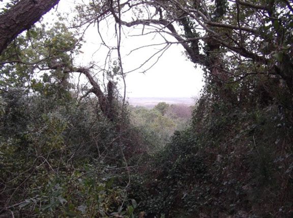 05 15 Monte Sannace