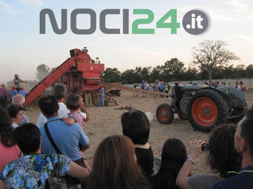 07 15 rievocazione trebbiatura