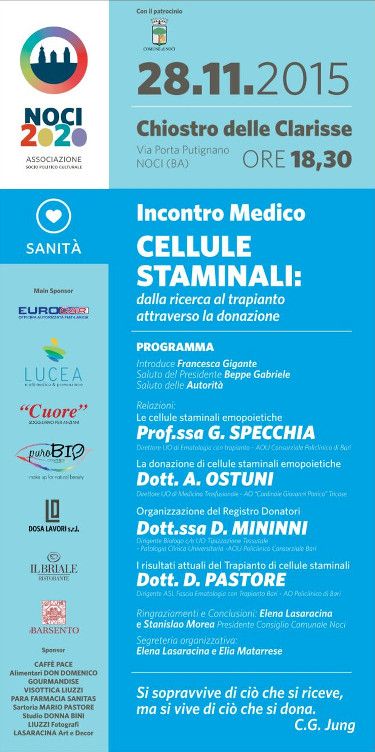 11 13staminali
