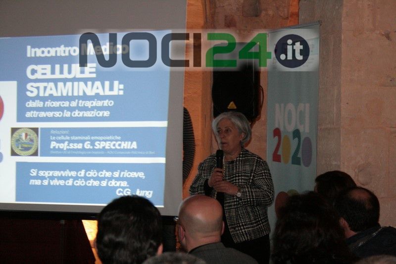 12 01giorginaspecchia