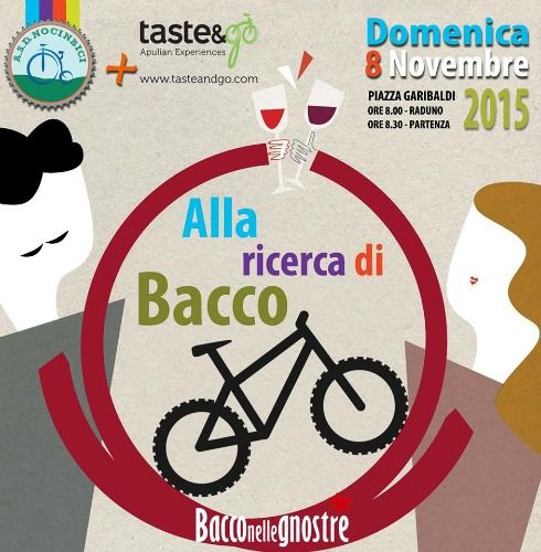 11 08 alla ricerca di bacco locandina