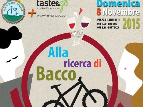 11 08 alla ricerca di bacco principale