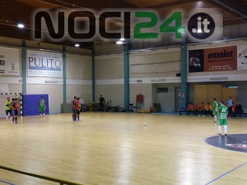 15 11 noci azzurri noci c5
