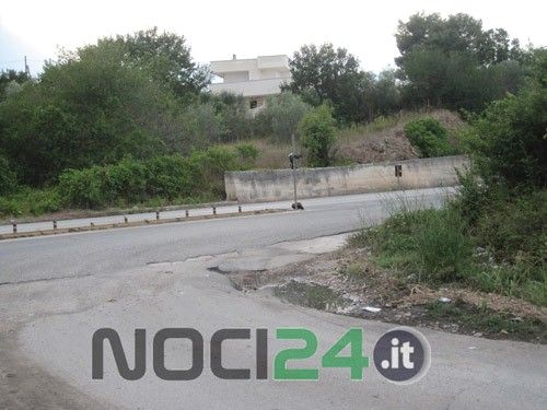 08 30 buca montedoro