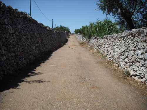 strada tratturi di campagna 01