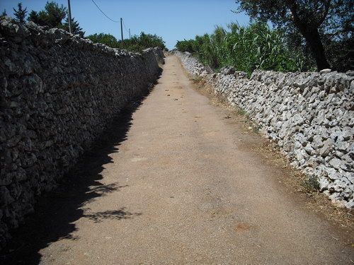 strada tratturi di campagna 02