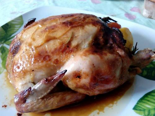 pollo