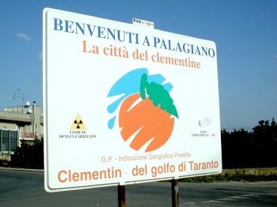 01 05 palagiano