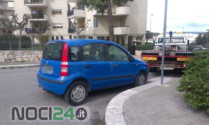 03 07pandarapina