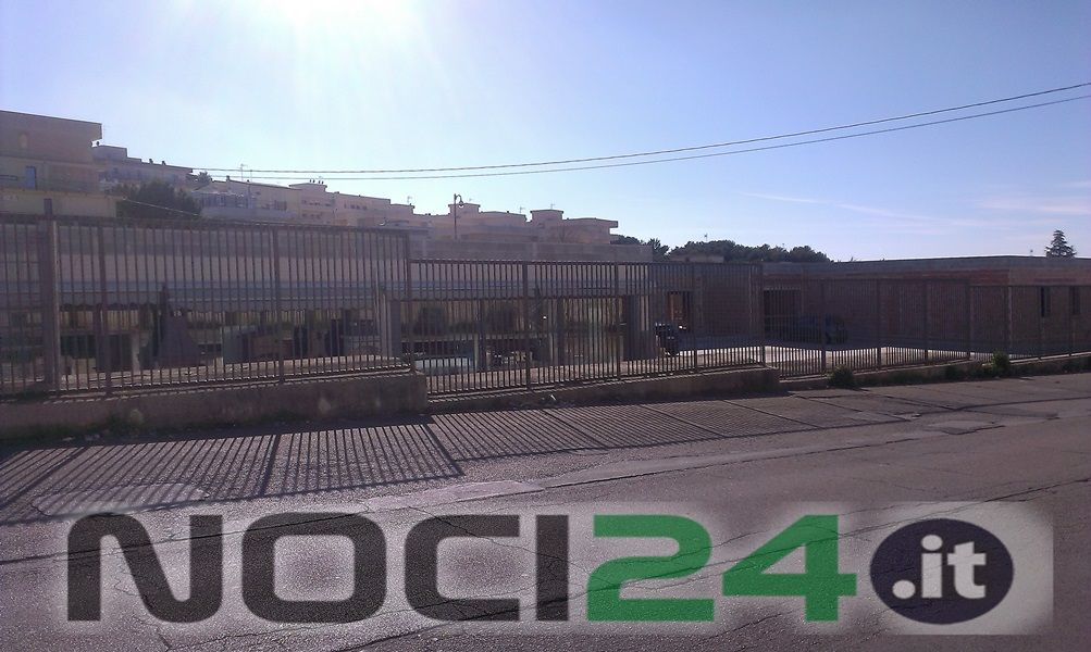 03 30 Losavio