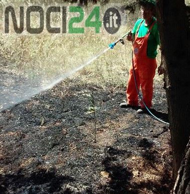 07 01 Incendio Il Gabbiano 2