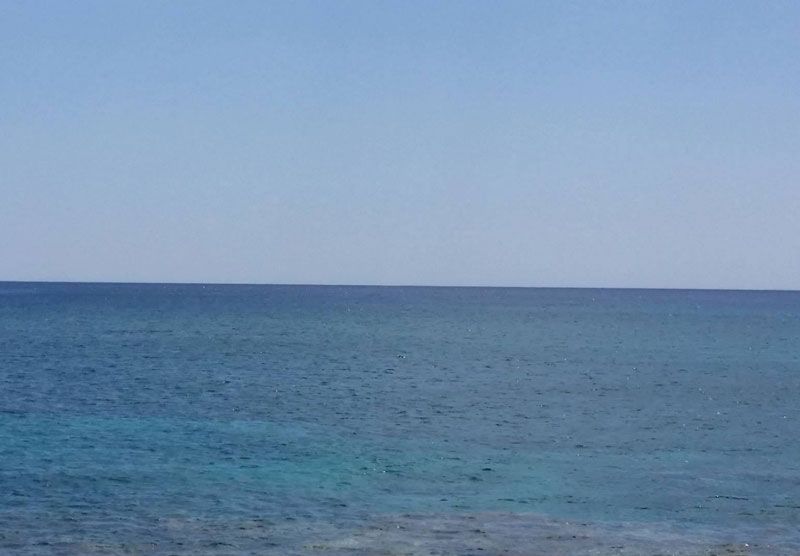 08 16 mare