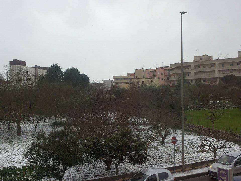 12 29 neve