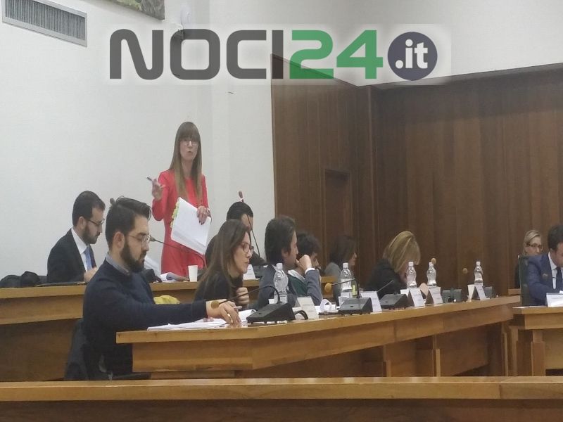 01 14primoconsiglio3