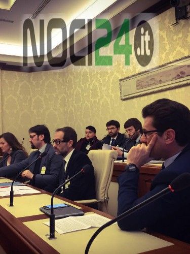 02 23 nocicinema in senato 2