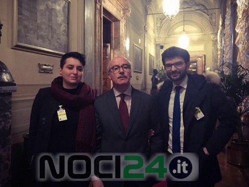 02 23 nocicinema in senato