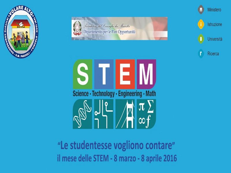 04 05stem
